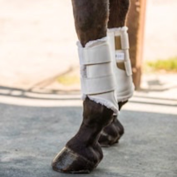 EuroPro Horse Boot- FRONT AND BACK- - Picture 1 of 4